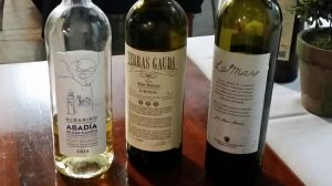 AkKMjbfwpZS2tmNWVFHncnMfrytKfosL9-HUEi9fMYb-